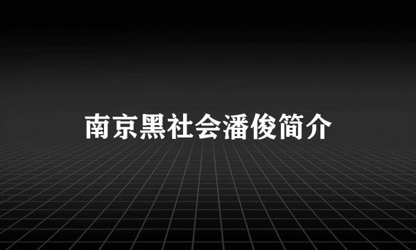 南京黑社会潘俊简介