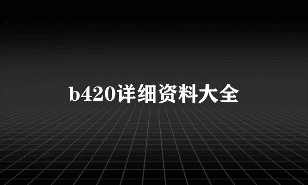 b420详细资料大全