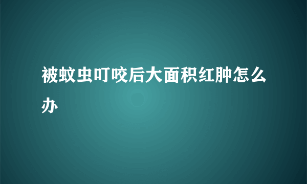 被蚊虫叮咬后大面积红肿怎么办