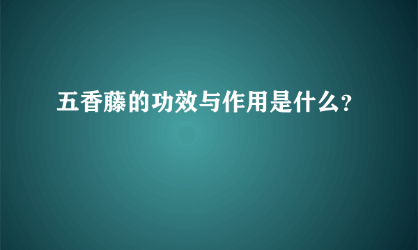 五香藤的功效与作用是什么？