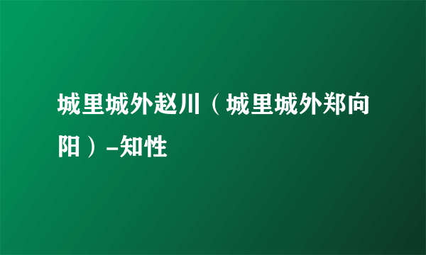 城里城外赵川（城里城外郑向阳）-知性