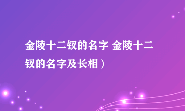 金陵十二钗的名字 金陵十二钗的名字及长相）