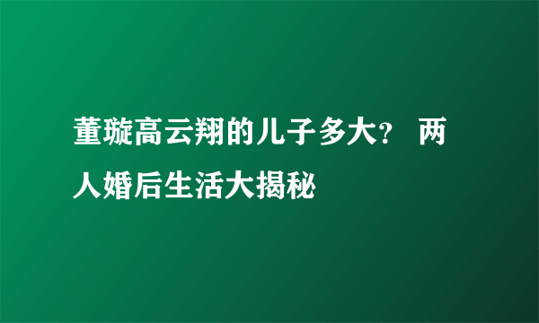 董璇高云翔的儿子多大？ 两人婚后生活大揭秘