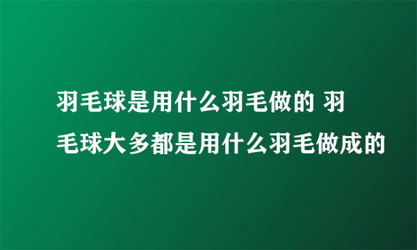 羽毛球是用什么羽毛做的 羽毛球大多都是用什么羽毛做成的