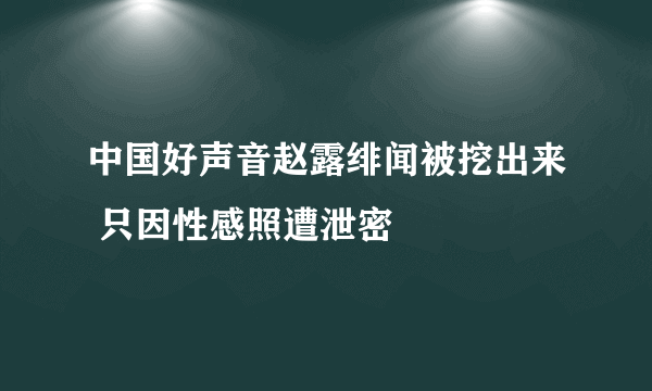 中国好声音赵露绯闻被挖出来 只因性感照遭泄密