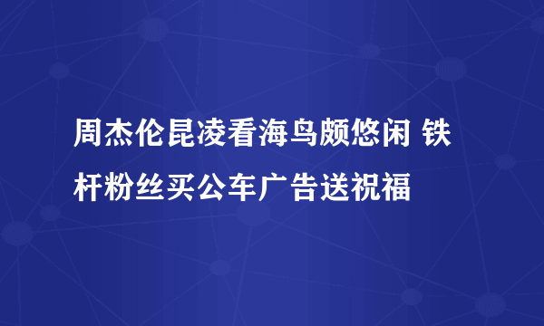 周杰伦昆凌看海鸟颇悠闲 铁杆粉丝买公车广告送祝福