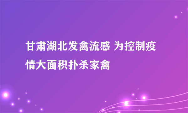 甘肃湖北发禽流感 为控制疫情大面积扑杀家禽