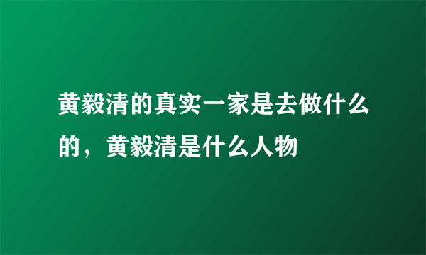 黄毅清的真实一家是去做什么的，黄毅清是什么人物