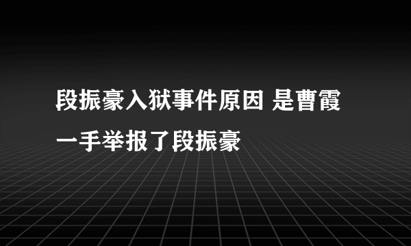 段振豪入狱事件原因 是曹霞一手举报了段振豪