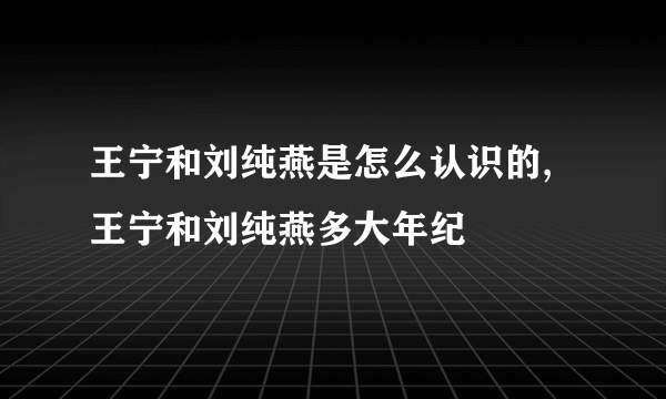 王宁和刘纯燕是怎么认识的,王宁和刘纯燕多大年纪