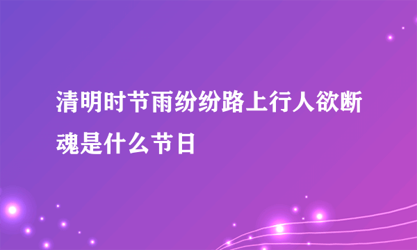 清明时节雨纷纷路上行人欲断魂是什么节日