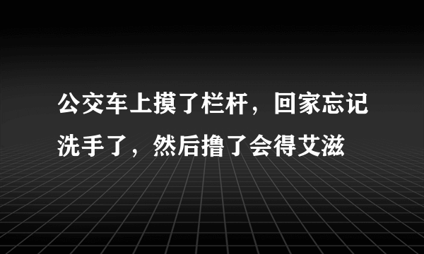 公交车上摸了栏杆，回家忘记洗手了，然后撸了会得艾滋