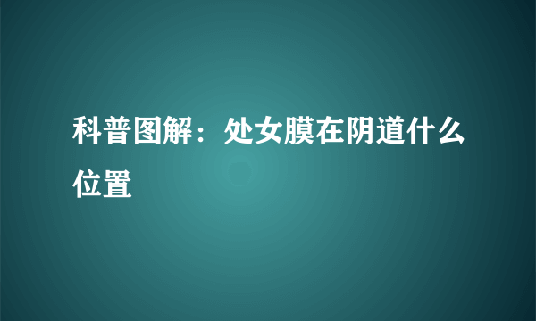 科普图解：处女膜在阴道什么位置