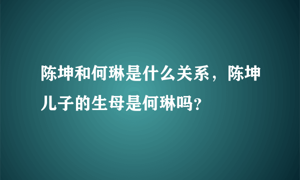 陈坤和何琳是什么关系，陈坤儿子的生母是何琳吗？