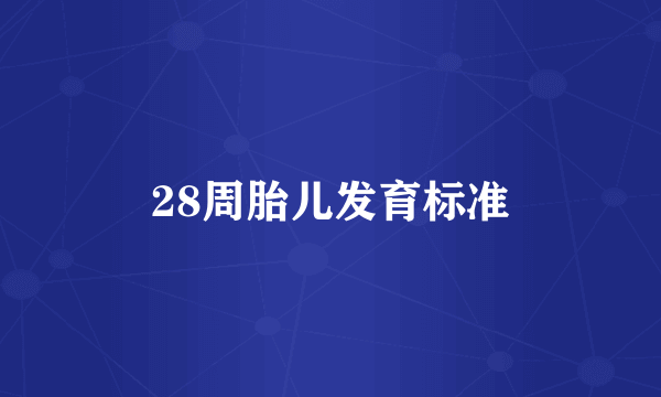 28周胎儿发育标准