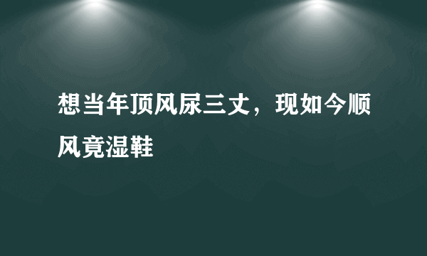 想当年顶风尿三丈，现如今顺风竟湿鞋