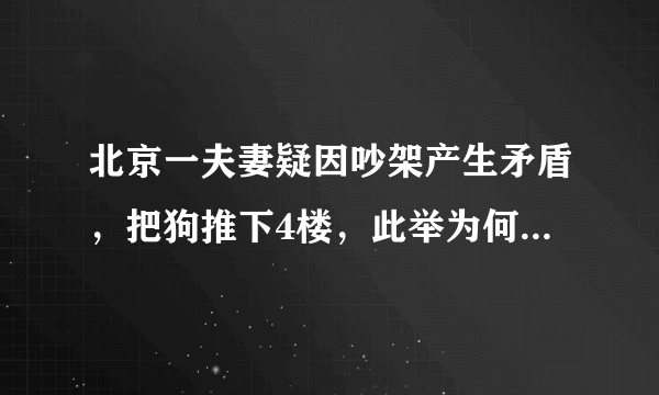 北京一夫妻疑因吵架产生矛盾，把狗推下4楼，此举为何被网友谴责？