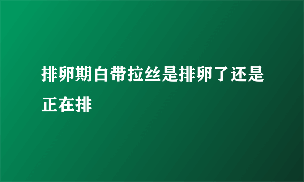 排卵期白带拉丝是排卵了还是正在排