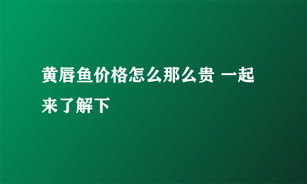 黄唇鱼价格怎么那么贵 一起来了解下