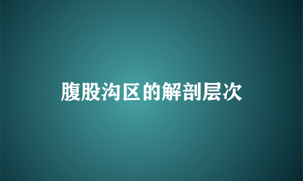 腹股沟区的解剖层次