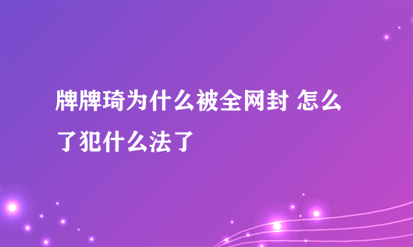 牌牌琦为什么被全网封 怎么了犯什么法了