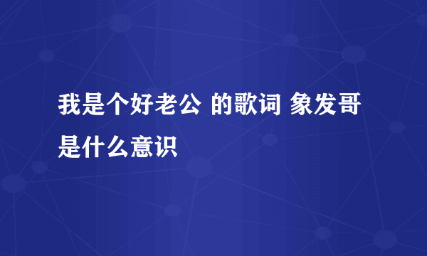 我是个好老公 的歌词 象发哥是什么意识