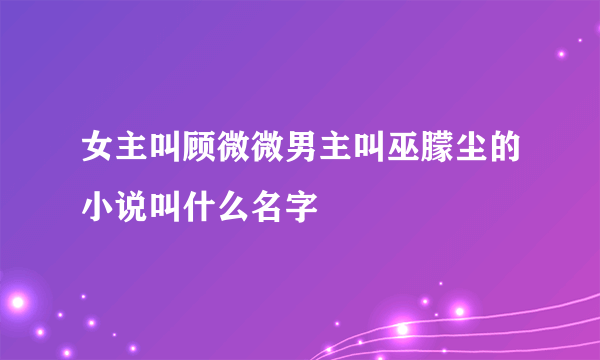 女主叫顾微微男主叫巫朦尘的小说叫什么名字