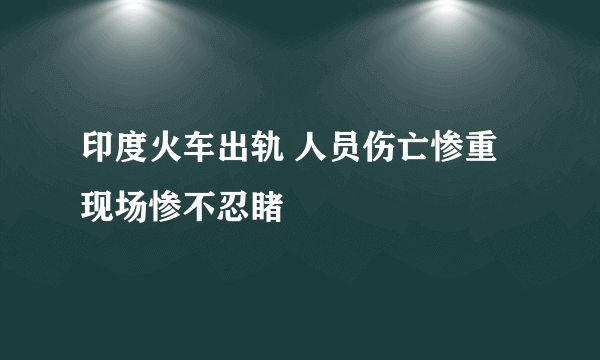 印度火车出轨 人员伤亡惨重现场惨不忍睹