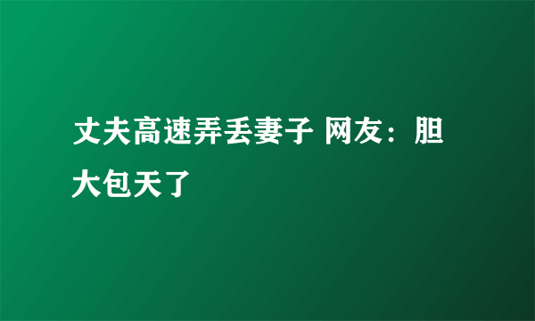 丈夫高速弄丢妻子 网友：胆大包天了