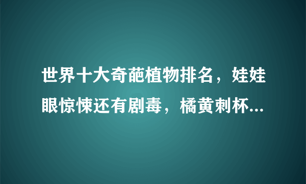 世界十大奇葩植物排名，娃娃眼惊悚还有剧毒，橘黄刺杯菌很浪漫
