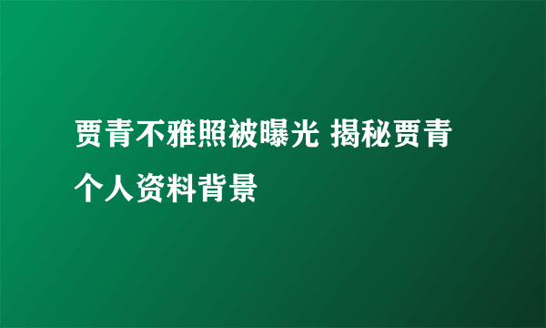 贾青不雅照被曝光 揭秘贾青个人资料背景