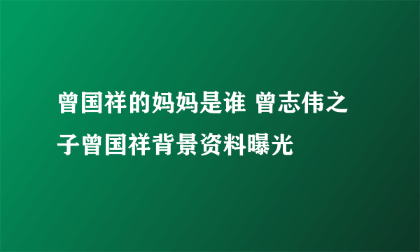 曾国祥的妈妈是谁 曾志伟之子曾国祥背景资料曝光