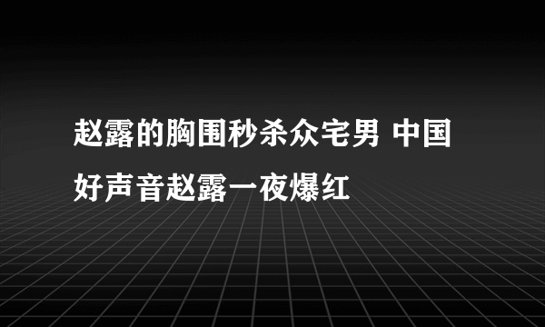 赵露的胸围秒杀众宅男 中国好声音赵露一夜爆红