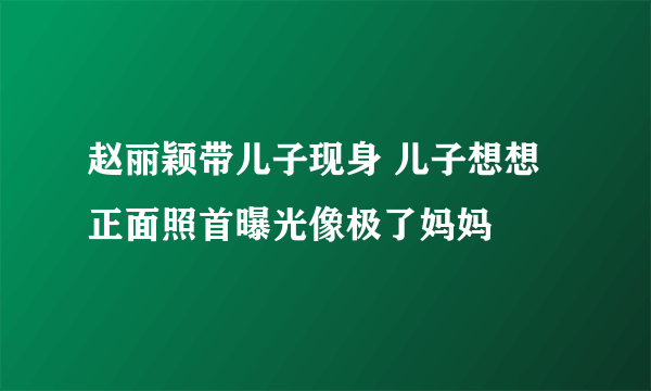 赵丽颖带儿子现身 儿子想想正面照首曝光像极了妈妈