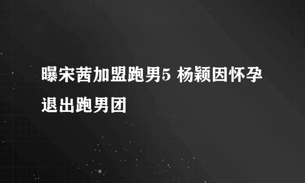 曝宋茜加盟跑男5 杨颖因怀孕退出跑男团