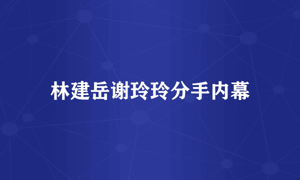 林建岳谢玲玲分手内幕