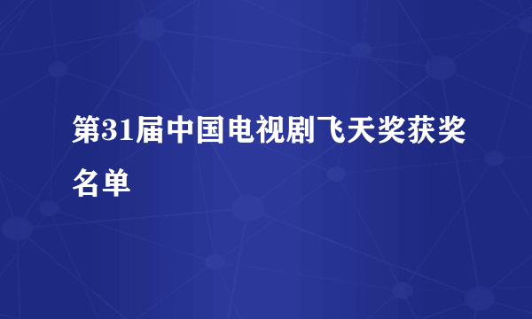 第31届中国电视剧飞天奖获奖名单