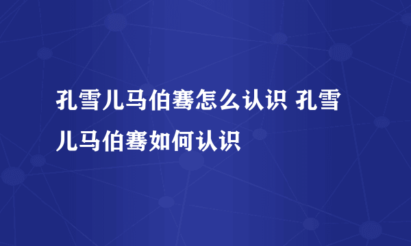 孔雪儿马伯骞怎么认识 孔雪儿马伯骞如何认识