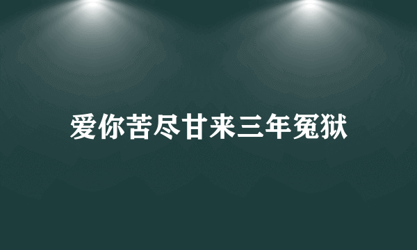 爱你苦尽甘来三年冤狱