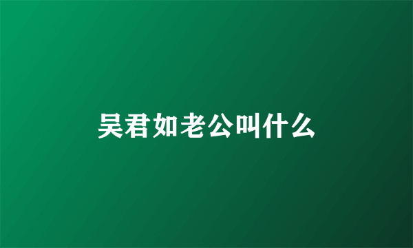 吴君如老公叫什么