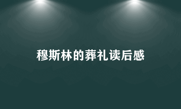 穆斯林的葬礼读后感