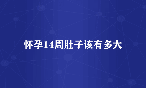 怀孕14周肚子该有多大