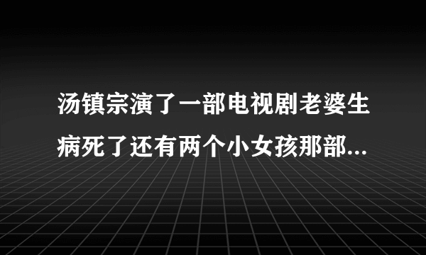 汤镇宗演了一部电视剧老婆生病死了还有两个小女孩那部电视剧叫什么名字？