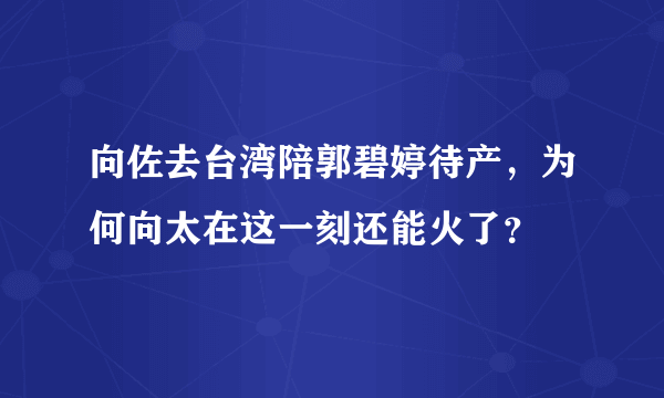 向佐去台湾陪郭碧婷待产，为何向太在这一刻还能火了？