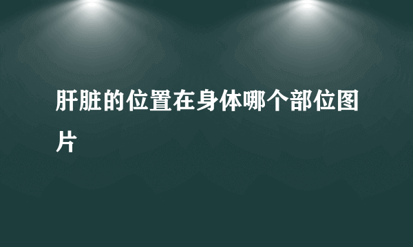 肝脏的位置在身体哪个部位图片