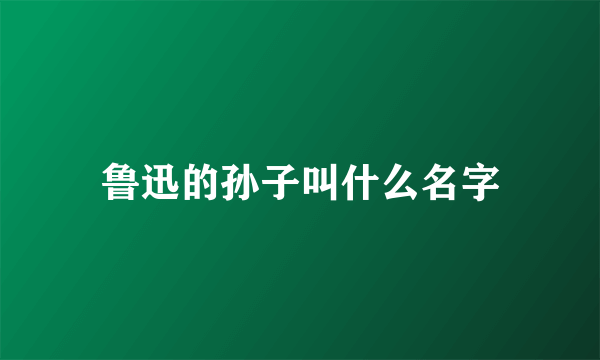 鲁迅的孙子叫什么名字