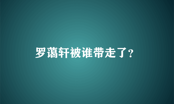 罗蔼轩被谁带走了？