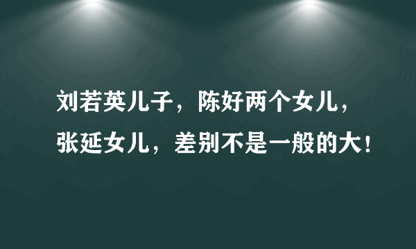 刘若英儿子，陈好两个女儿，张延女儿，差别不是一般的大！