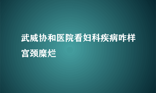 武威协和医院看妇科疾病咋样宫颈糜烂