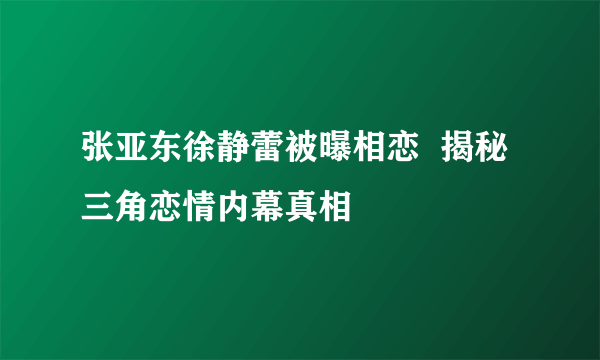 张亚东徐静蕾被曝相恋  揭秘三角恋情内幕真相